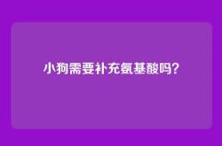 小狗需要补充氨基酸吗？