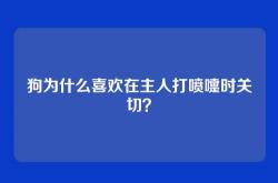 狗为什么喜欢在主人打喷嚏时关切？