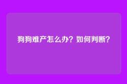 狗狗难产怎么办？如何判断？