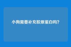 小狗需要补充胶原蛋白吗？