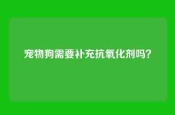 宠物狗需要补充抗氧化剂吗？