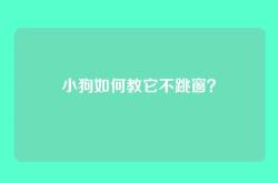 小狗如何教它不跳窗？