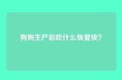 狗狗生产后吃什么恢复快？