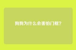 狗狗为什么会害怕门框？