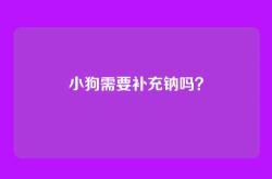小狗需要补充钠吗？