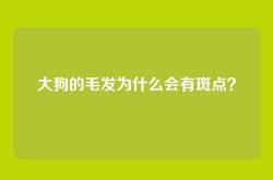 大狗的毛发为什么会有斑点？
