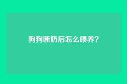 狗狗断奶后怎么喂养？