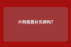 小狗需要补充碘吗？
