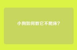 小狗如何教它不爬床？