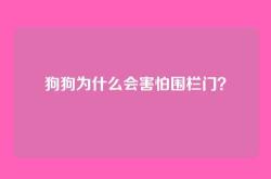 狗狗为什么会害怕围栏门？