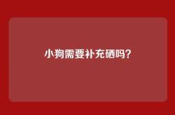 小狗需要补充硒吗？