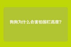 狗狗为什么会害怕围栏高度？