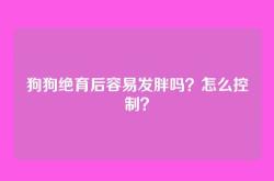 狗狗绝育后容易发胖吗？怎么控制？