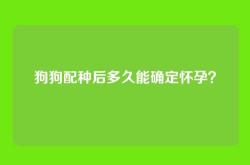 狗狗配种后多久能确定怀孕？