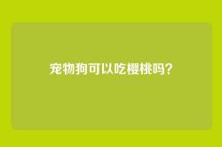 宠物狗可以吃樱桃吗？