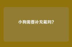 小狗需要补充氟吗？