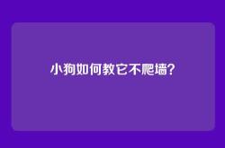 小狗如何教它不爬墙？