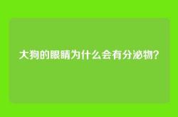 大狗的眼睛为什么会有分泌物？