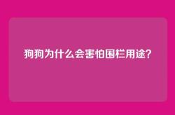 狗狗为什么会害怕围栏用途？