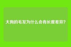 大狗的毛发为什么会有长度差异？