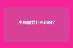 小狗需要补充铝吗？