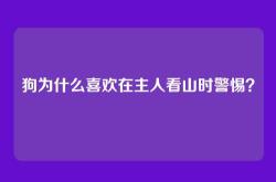 狗为什么喜欢在主人看山时警惕？