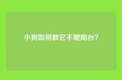小狗如何教它不爬阳台？