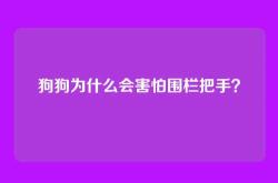 狗狗为什么会害怕围栏把手？