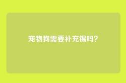 宠物狗需要补充锡吗？