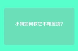 小狗如何教它不爬屋顶？