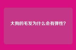 大狗的毛发为什么会有弹性？