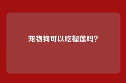 宠物狗可以吃榴莲吗？