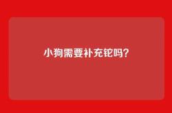 小狗需要补充铊吗？