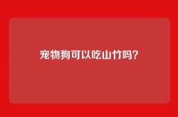 宠物狗可以吃山竹吗？