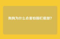 狗狗为什么会害怕围栏底部？