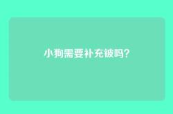 小狗需要补充铍吗？