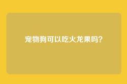 宠物狗可以吃火龙果吗？