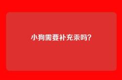 小狗需要补充汞吗？