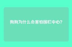 狗狗为什么会害怕围栏中心？