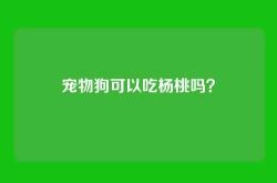 宠物狗可以吃杨桃吗？