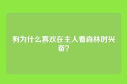 狗为什么喜欢在主人看森林时兴奋？