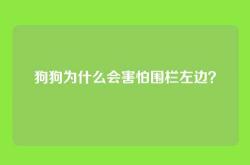 狗狗为什么会害怕围栏左边？