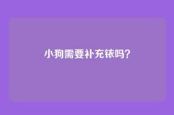 小狗需要补充铱吗？