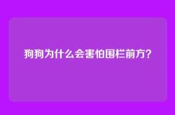 狗狗为什么会害怕围栏前方？