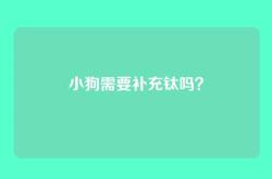 小狗需要补充钛吗？