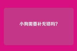小狗需要补充铬吗？