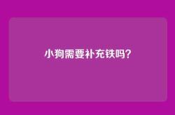 小狗需要补充铁吗？