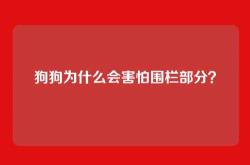 狗狗为什么会害怕围栏部分？