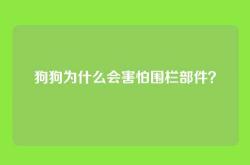 狗狗为什么会害怕围栏部件？