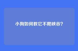 小狗如何教它不爬峡谷？